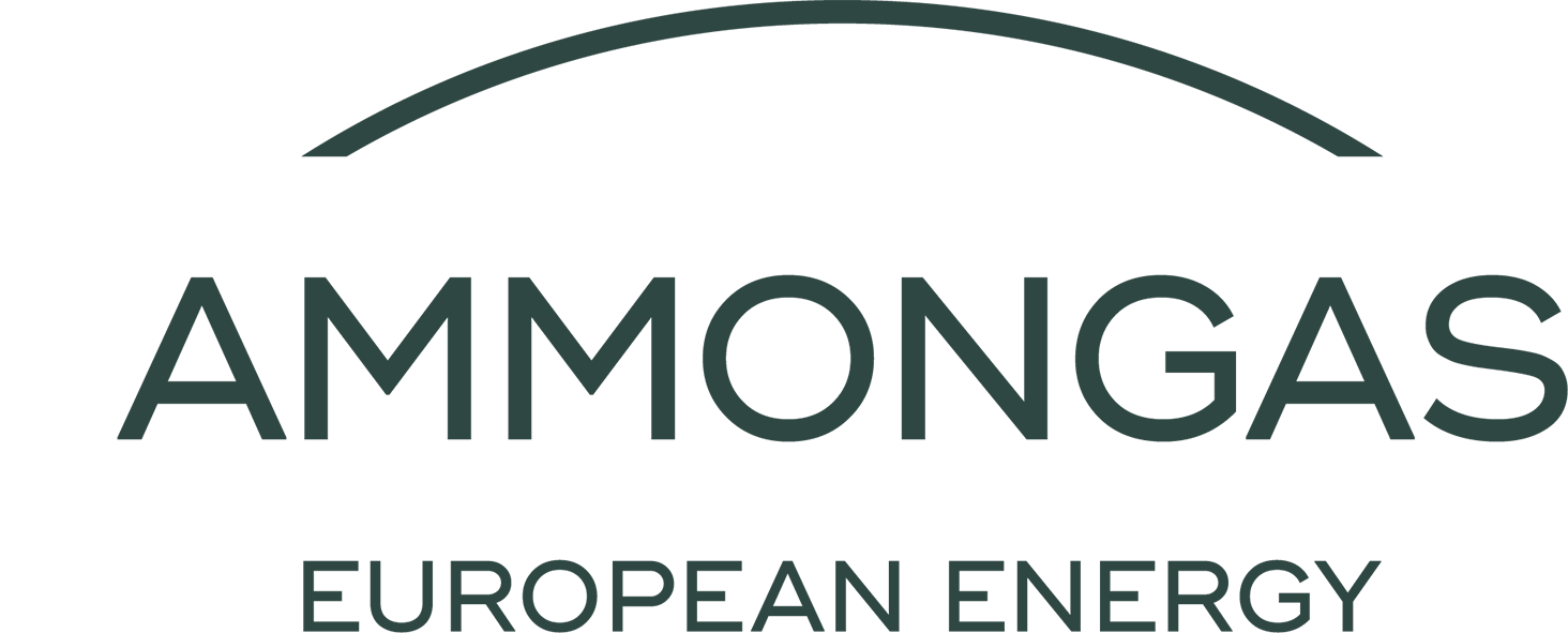 European Energy